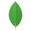 mongodb